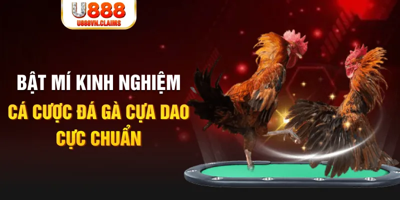 j88 con trong baccarat, ai là người chia bài chính？