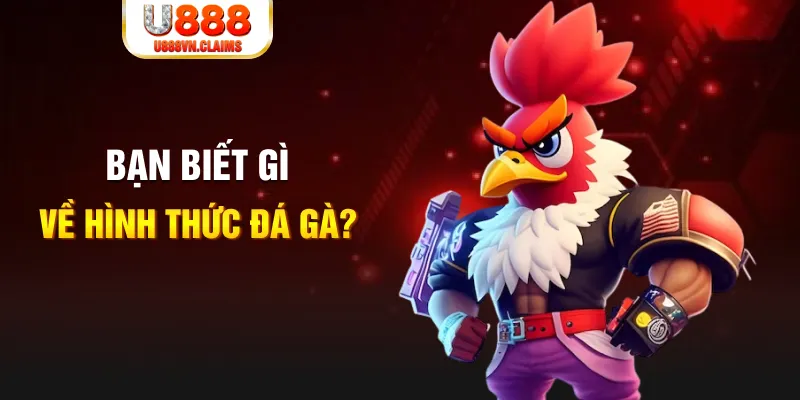 j88 con đăng nhập mậu binh dễ thắng