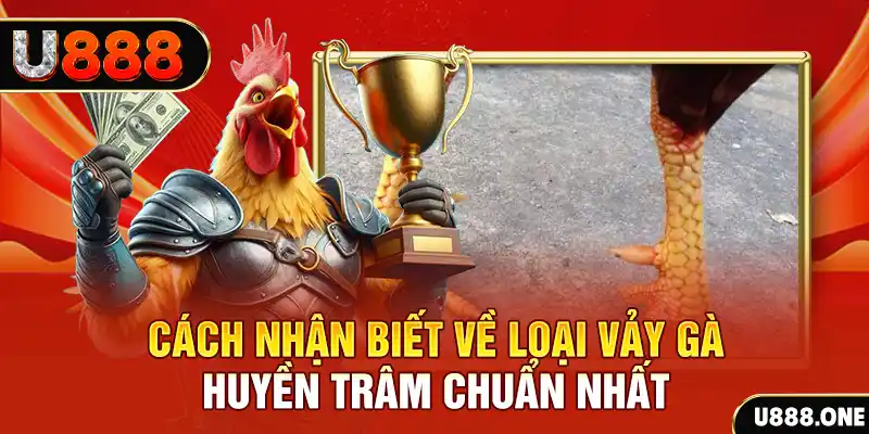 j88 con Chú hề Patty tuổi teen