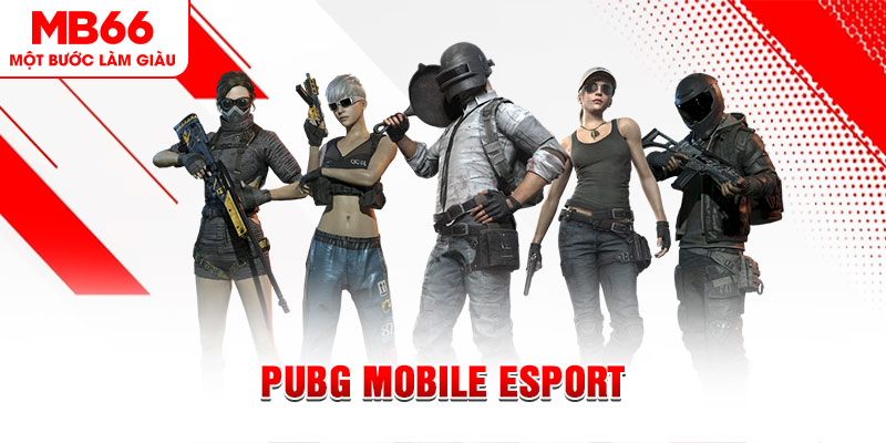 j88 con gà chọi c1 mới nhất