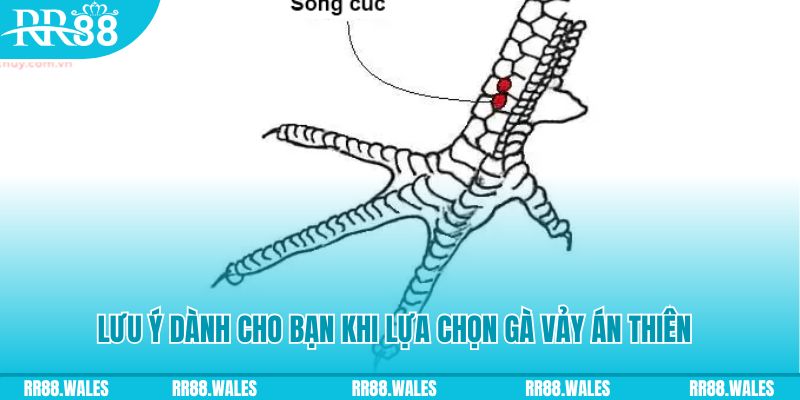 j88 con how to play roulette at casino