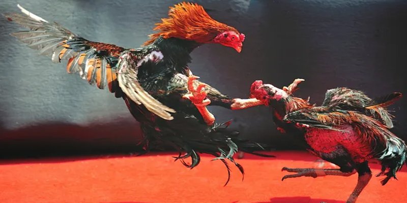 j88 con đăng nhập nổ hũ số 1