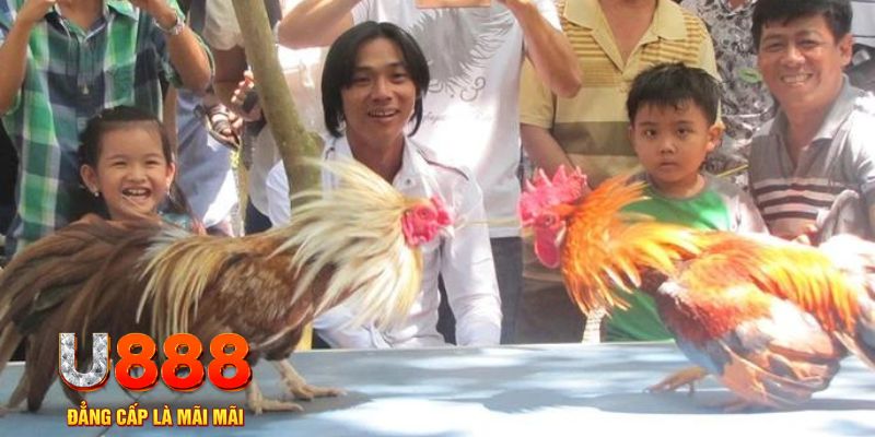 j88 con mơ thấy nổ hũ đánh con gì