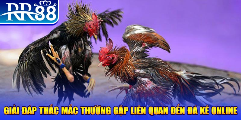 j88 con đăng nhập phỏm tặng tiền