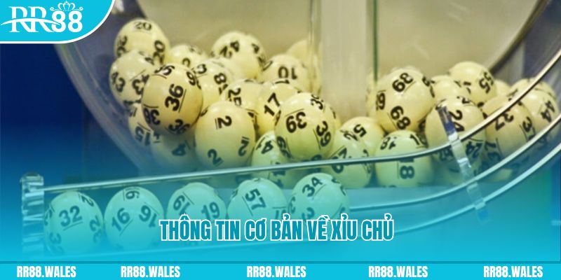 j88 con baccarat long bảo là gì