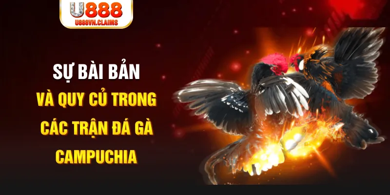 j88 con baccarat lừa đảo như thế nào