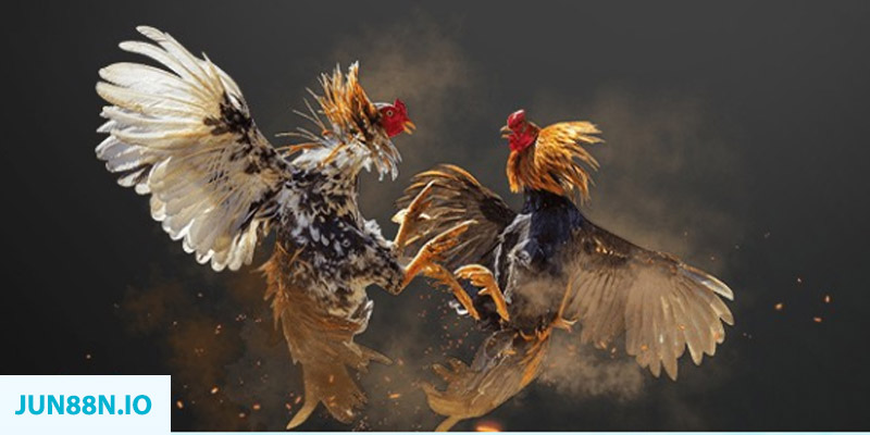 j88 con bắn cá long vương