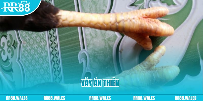 j88 con who wants to be a millionaire slot