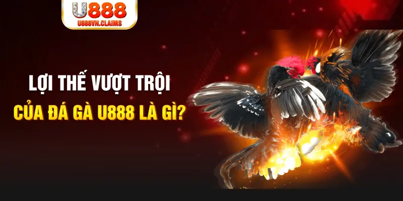 j88 con 888 slot là gì